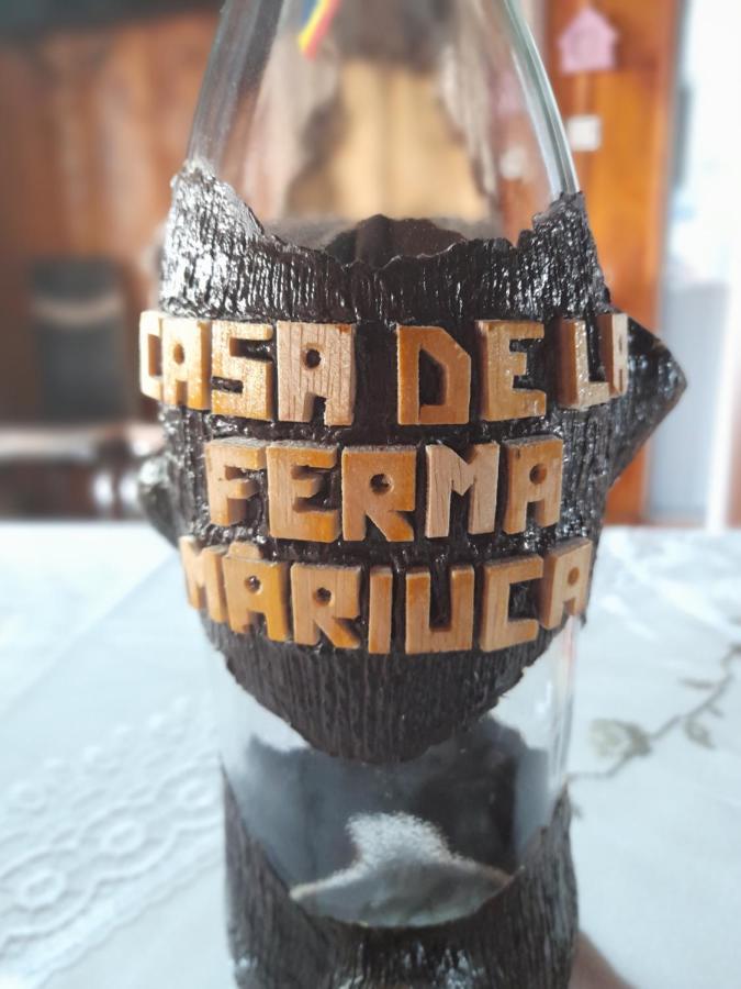 Vila Casa De La Ferma Mariuca Berbesti Exteriér fotografie