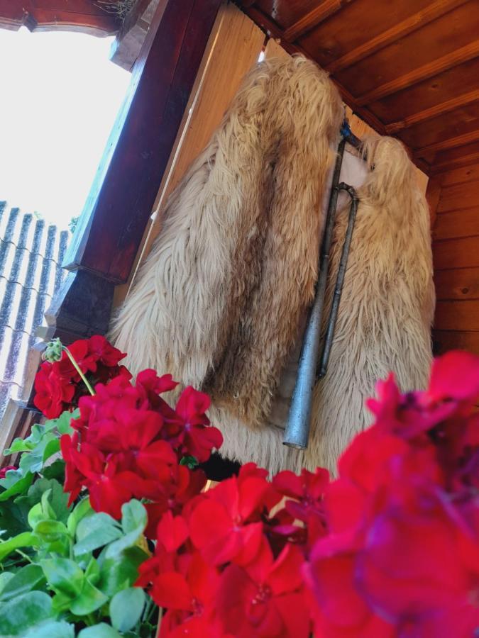 Vila Casa De La Ferma Mariuca Berbesti Exteriér fotografie