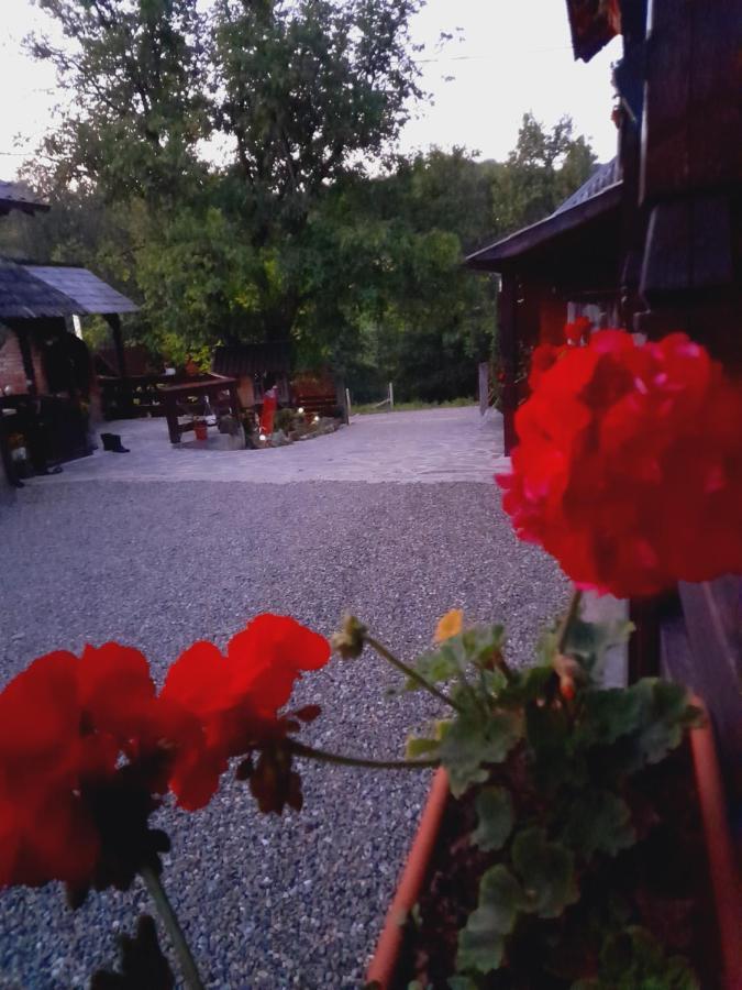 Vila Casa De La Ferma Mariuca Berbesti Exteriér fotografie