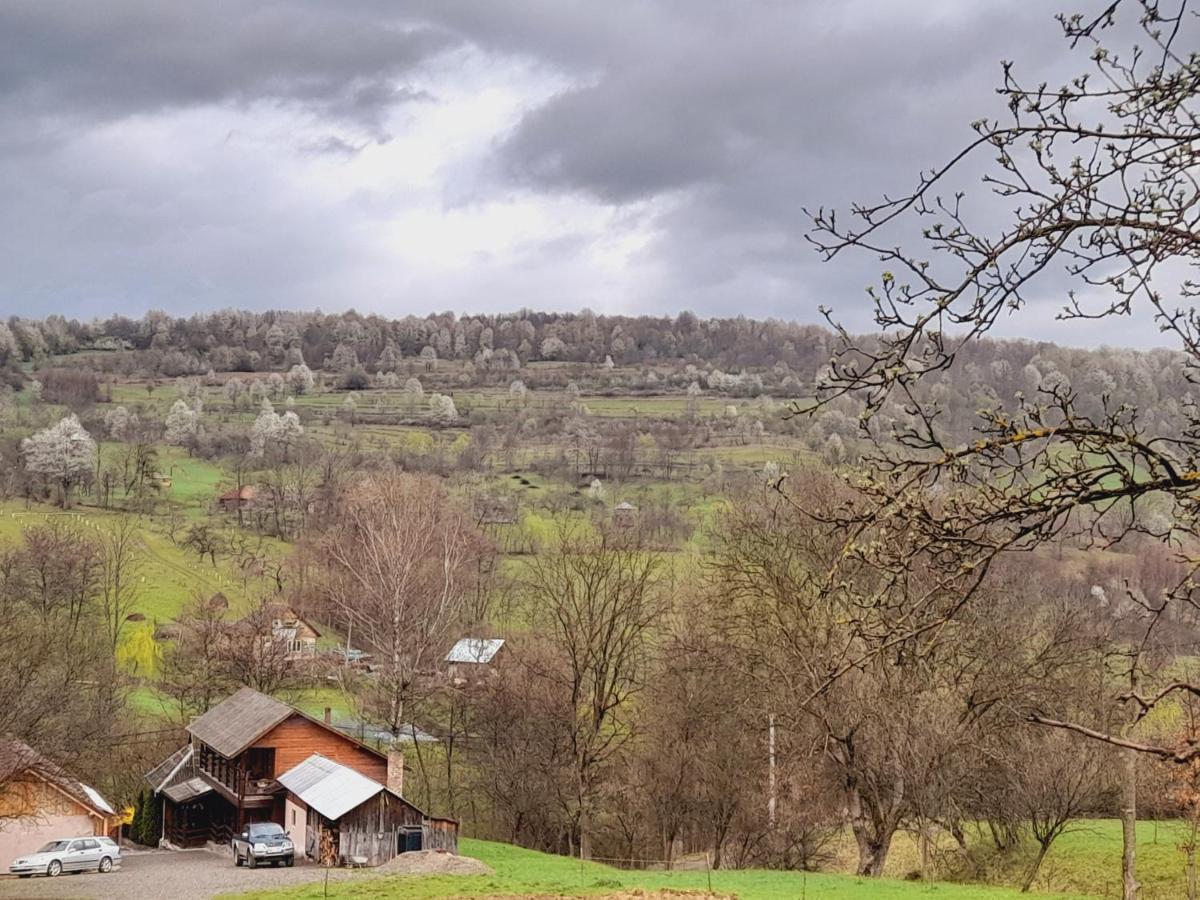 Vila Casa De La Ferma Mariuca Berbesti Exteriér fotografie