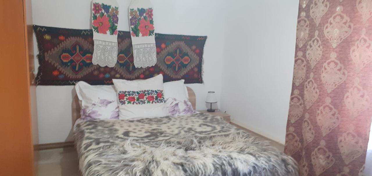 Vila Casa De La Ferma Mariuca Berbesti Exteriér fotografie