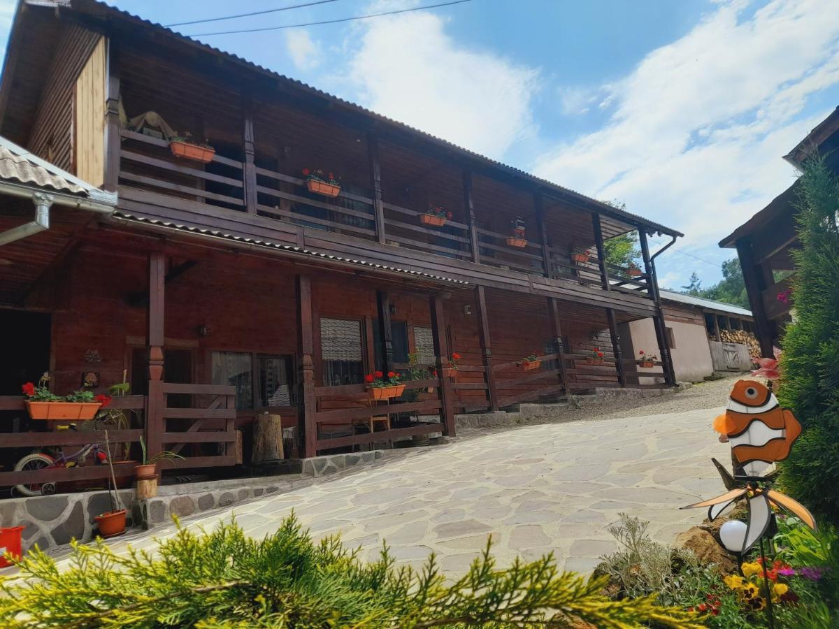 Vila Casa De La Ferma Mariuca Berbesti Exteriér fotografie