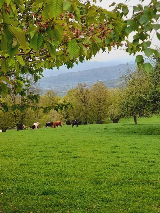 Vila Casa De La Ferma Mariuca Berbesti Exteriér fotografie