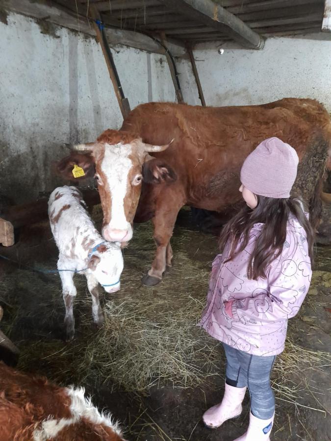 Vila Casa De La Ferma Mariuca Berbesti Exteriér fotografie