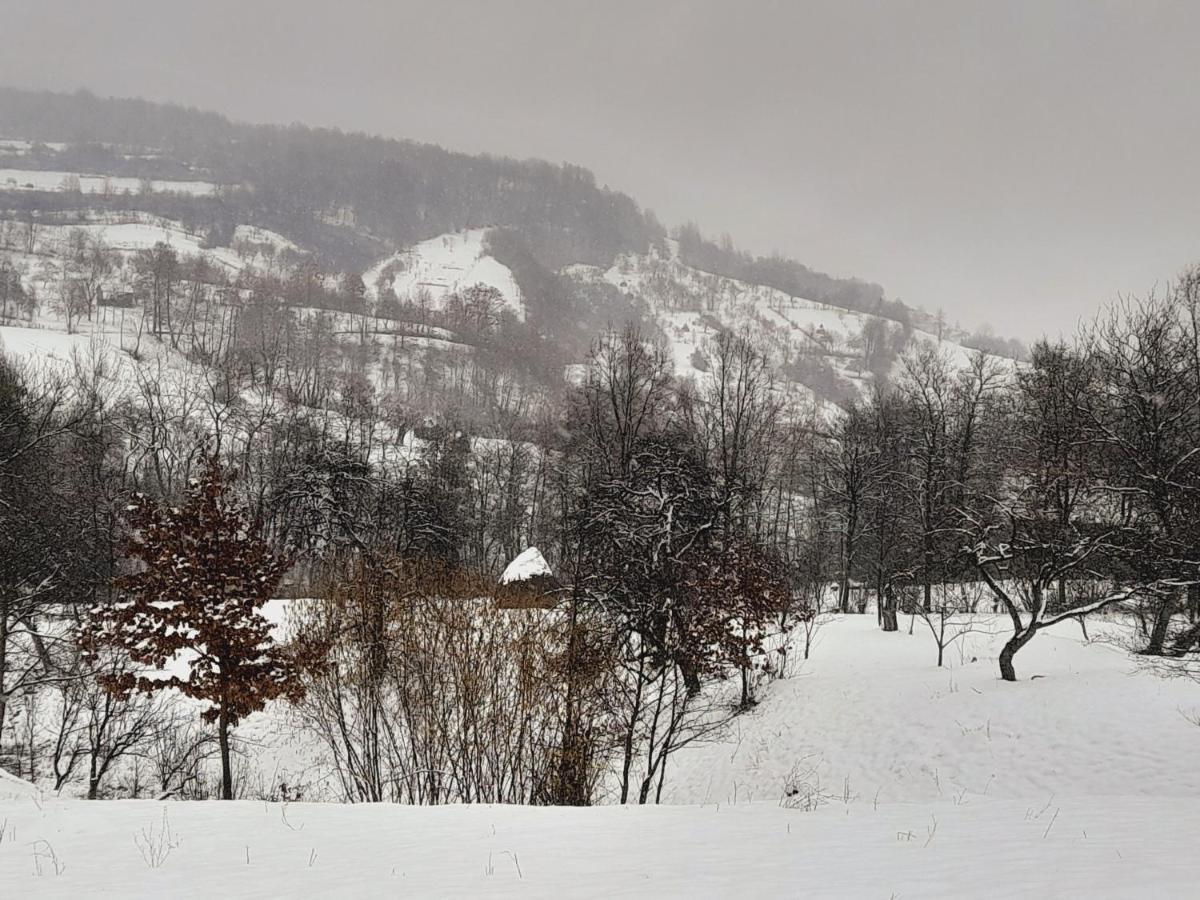 Vila Casa De La Ferma Mariuca Berbesti Exteriér fotografie